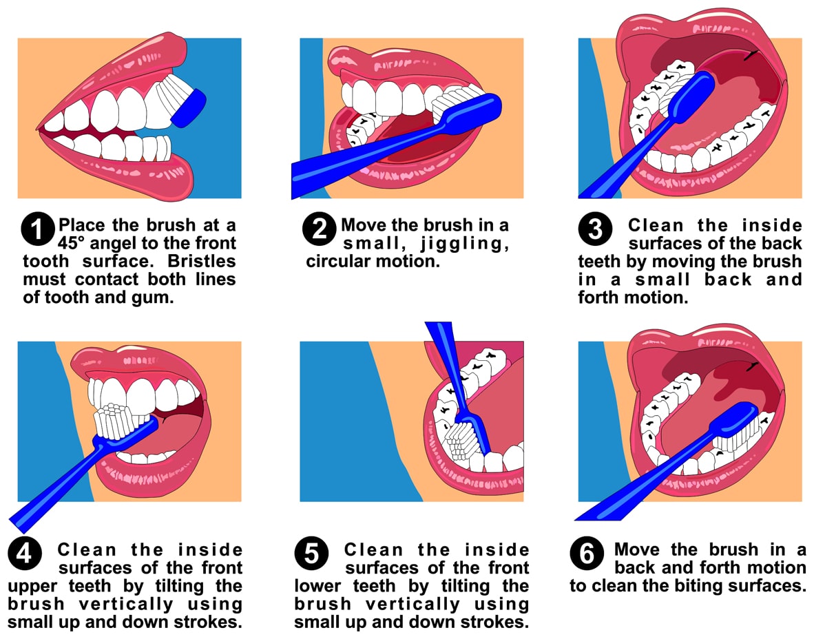 how to brush teeth properly